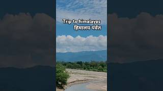 Trip to Himalayas himalayas travelvlog vlog tourism indian wildlife ।sak vs jungle [upl. by Boehmer488]