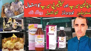 How to use Vidaylin syrup and Calciump syrup Cocktail parrot best tips breedingbukhari 5 aviary [upl. by Villiers]