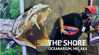 TEMPAT MENARIK DI MELAKA YANG HARUS DIKUNJUNGI THE SHORE OCEANARIUM [upl. by Haneehs]