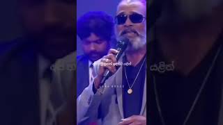 Weraliyadda song❤️‍🔥 trending srilanka songs [upl. by Aynatal]