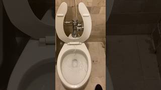 Vitromex Apolo toilet at Holiday Inn [upl. by Meyeroff864]