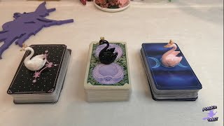 🔎💔 SUS PREOCUPACIONES POR TI 💕 Tarot interactivo 💫 [upl. by Padgett918]