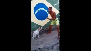 ASOMBROSO Perro Bailando Samba En Brasil Wao  Amazing Dog Dancing In Brazil  Argenis Fels [upl. by Eihtur]