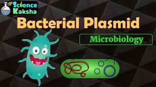 PLASMID  BACTERIAL GENETICS  CSIR NET GATE  MSc and BSc in hindi [upl. by Adnawot]