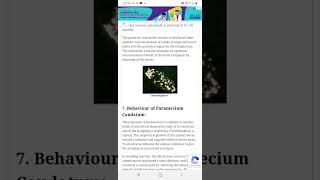 Paramecium Respiration [upl. by Bettzel501]