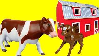 Farm Toy Animals  Calf and Cow  Toy Cow Feeding  Eating grass [upl. by Abel103]