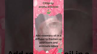 quotBreath in The Freshener of Rosemary Oilquot quotRosemary Oilquot [upl. by Rauch]