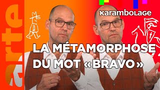 Bravo  Karambolage  ARTE [upl. by Naharba]