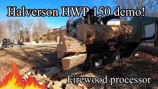 Halverson HWP 150 skid steer firewood processor CCEQUIPMENT demo [upl. by Hank478]