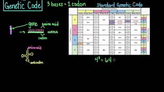 The Genetic Code [upl. by Kirad]