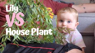 Adorable Baby Girl Discovers Her New Plant Listen to her review at the end [upl. by Juback]