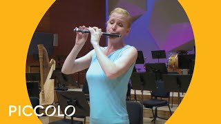 Guide to the Orchestra Piccolo Demonstration  Minnesota Orchestra [upl. by Suolhcin421]