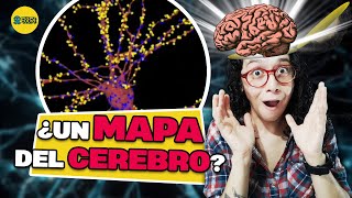 Estamos cerca de descifrar los misterios del cerebro humano gracias a este mapa hecho con electrones [upl. by Wakerly207]