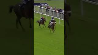 Vauban impressively lands the Lonsdale Cup horse horseracing racingtv sport britishhorseracing [upl. by Kaazi247]