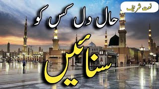 HaleDil kis Ko Sunaye Ap Ky hoty Hue  Slowed  Rewerb  urdu lyrics Naat [upl. by Sualokin]