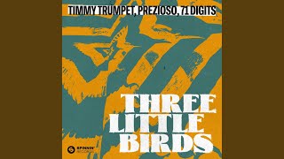 Three Little Birds Extended Mix [upl. by Freeborn]