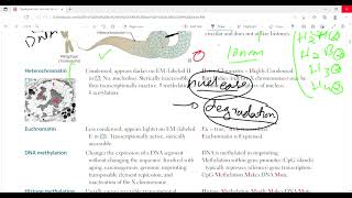 Organization of DNA and chromatin structure  Molecular biology BiochemistryFirst Aid LectureLec4 [upl. by Annaicul]