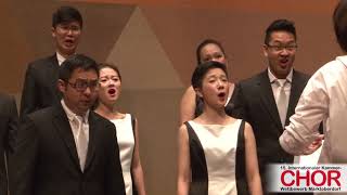 ONE Chamber Choir Singapur Mate Saule INTERNATIONALER KAMMERCHORWETTBEWERB MARKTOBERDORF 2017 [upl. by Ribble]