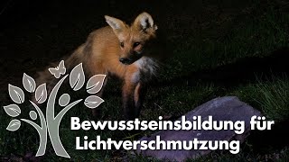 Webinar Nachtlandschaften in Naturparken 33 [upl. by Stoneman590]