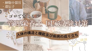 『ゴロで覚える』管理栄養士国家試験対策（細胞小器官と遺伝子） [upl. by Jessica]