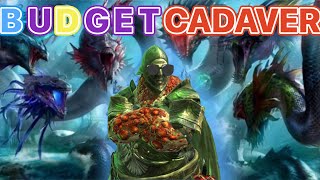 BUDGET CADAVER TEAM  Only One Legendary Needed ⚡️II Raid Shadow Legends [upl. by Franzen]