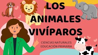 🐶🐼🐰 ANIMALES VIVÍPAROS 🐵🐘🐭 EDUCACIÓN PRIMARIA 📔✏️🎒 CLASE VIRTUAL [upl. by Kare]