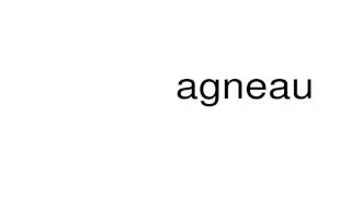 How to pronounce agneau [upl. by Yahsram354]