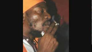 Mr Perfect  Ganja Spliff [upl. by Akciret716]