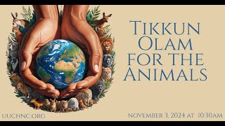 Tikkun Olam for the Animals 11032024 [upl. by Grani]