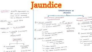 Jaundice 23  Types [upl. by Jak]