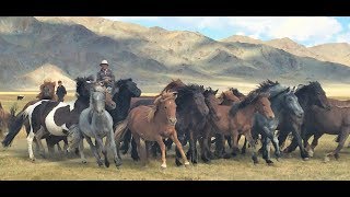 Mongolia Altai Mountains Trip August 2017 [upl. by Ecyob176]