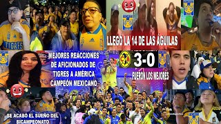 Aficionados REACCIONANDO a la FINAL entre Chivas y Tigres [upl. by Dinan]