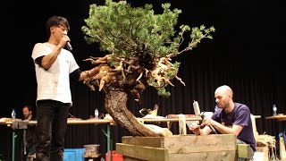 Taiga Urushibata Bonsai demo [upl. by Ahseikal820]