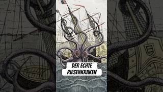 Der wahre Riesenkraken wissenswert info biologie tiere natur fakten mythos wissen kraken [upl. by Saffren]