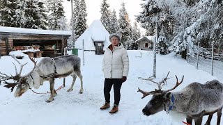 Lapland Experience 2023 Ruka Kuusamo [upl. by Bohon378]