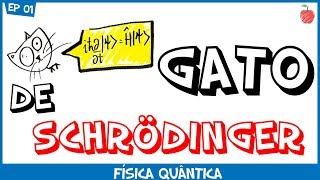 O Gato de Schrödinger e a Física Quântica [upl. by Al]