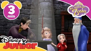 Jej Wysokość Zosia  Piosenka Czarować jak Merlin Oglądaj w Disney Junior [upl. by Cleopatra]