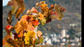 herbstfarbe [upl. by Nolasba2]