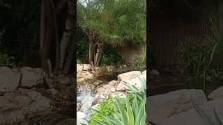 The Farm Al Barari pt 1 Dubai UAE Thefarmalbarari [upl. by Krishnah]