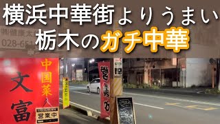 【栃木グルメ】本当は教えたくない美味しすぎるガチ中華のお店 栃木県宇都宮市 中国菜 文富 [upl. by Goddard]