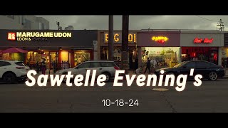 145 minutes of Sawtelle [upl. by Enelie]