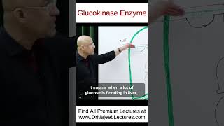 Glucokinase Enzyme shorts shortvideo drnajeeb [upl. by Philana]