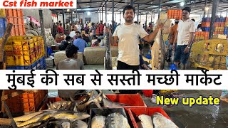 मुंबई की सबसे सस्ती मच्छी मार्केट Mumbai CST fish marketwholesale and retail market  2024 [upl. by Elcarim]