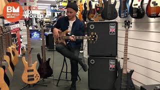 Spector Bass Guitars JUST ARRIVED  Belfield Music w Steve [upl. by Feingold121]