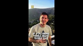 If You Drink Yerba Mate Every Day Heres What Happens to Your Body [upl. by Ttirrej977]