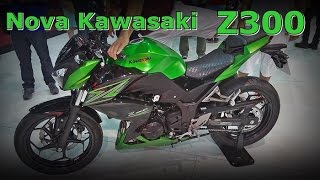 Nova Kawasaki Z300 no Salão Duas Rodas 2015  FVM [upl. by Trilly857]