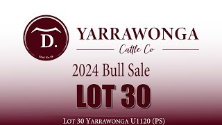 Lot 30 Yarrawonga U1120 PS [upl. by Nuahsyar964]