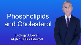 A Level Biology Revision quotPhospholipids and Cholesterolquot [upl. by Garibald908]