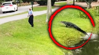 Alligator Runs After Fisherman in South Carolina [upl. by Stead]