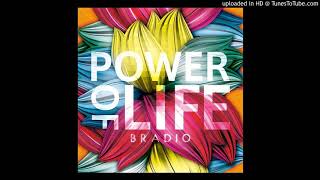 Flyers  Bradio [upl. by Ohaus]